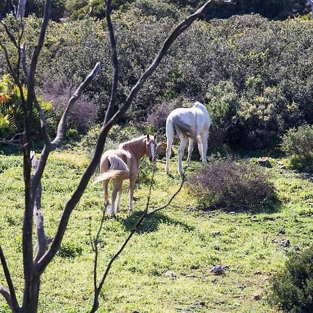タリファCasita Rural En Centro De Hipicaアパートメント エクステリア 写真