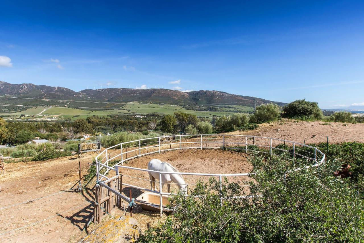 タリファCasita Rural En Centro De Hipicaアパートメント エクステリア 写真