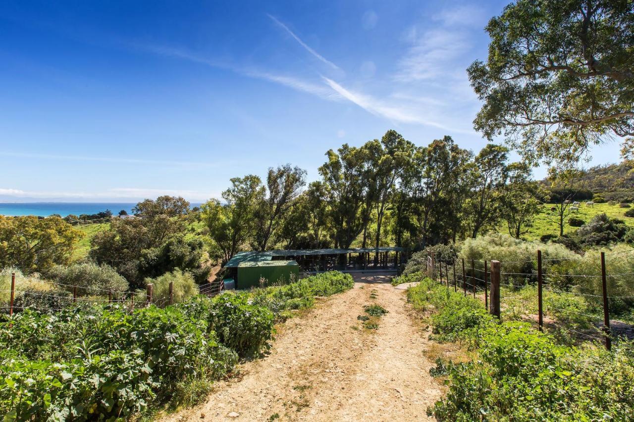 タリファCasita Rural En Centro De Hipicaアパートメント エクステリア 写真