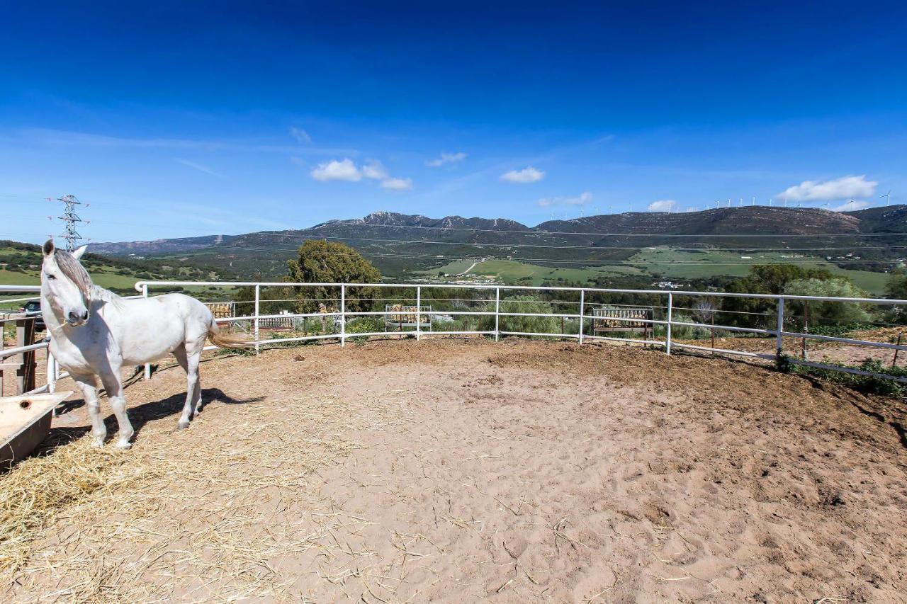 タリファCasita Rural En Centro De Hipicaアパートメント エクステリア 写真