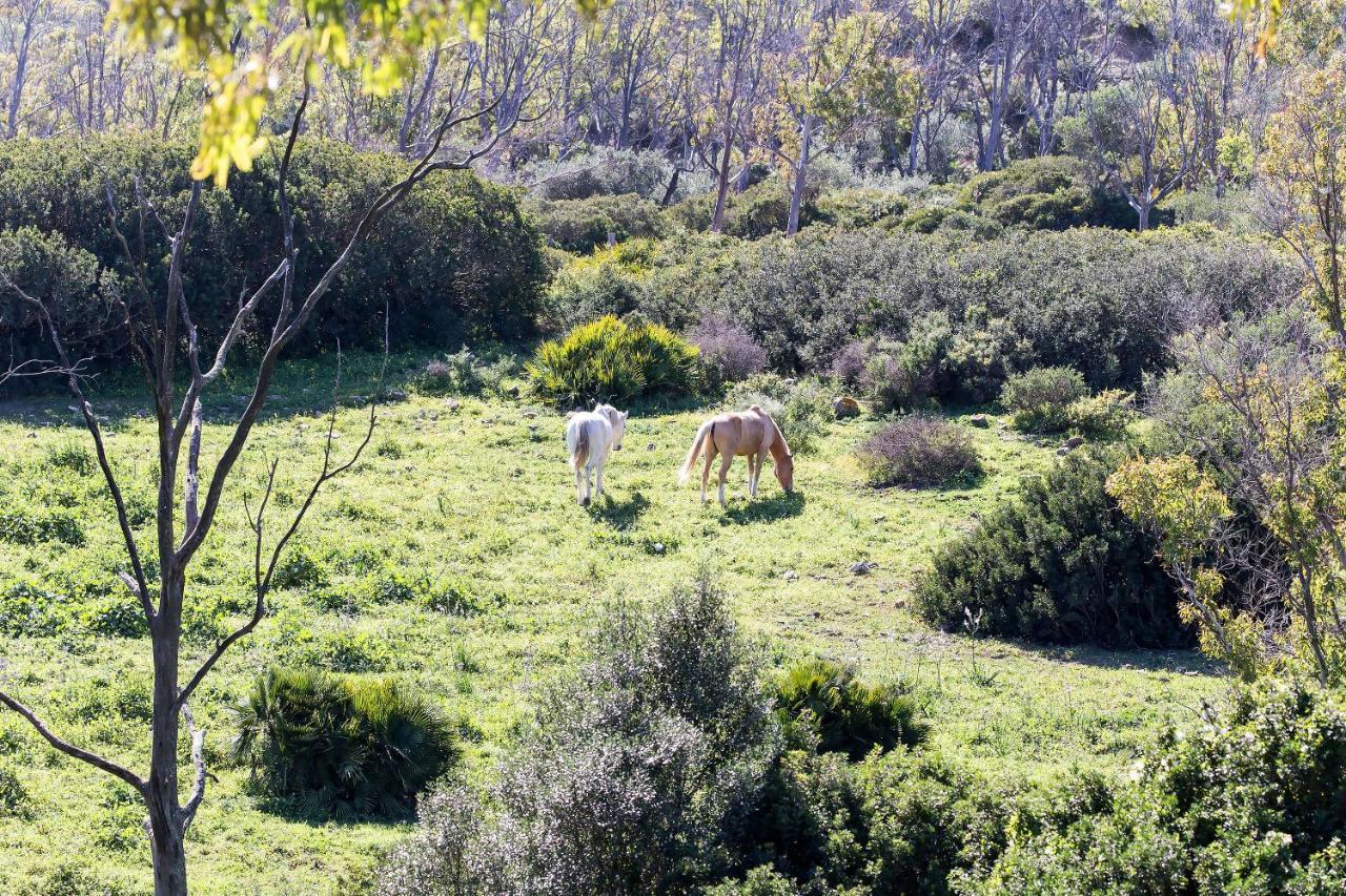 タリファCasita Rural En Centro De Hipicaアパートメント エクステリア 写真
